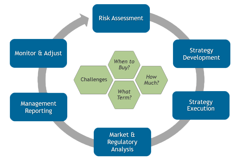 Calpine Energy Solutions - Our Approach - Risk Management